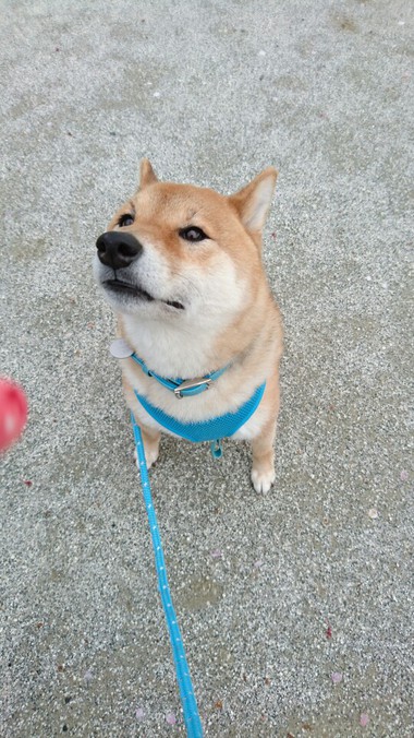 突然の雨