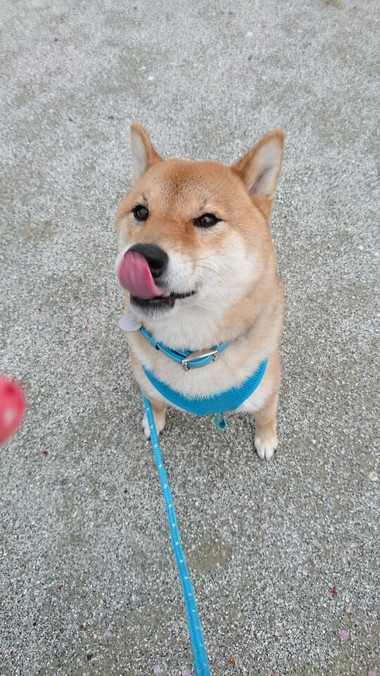 突然の雨