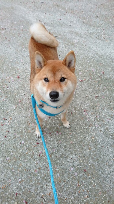 突然の雨