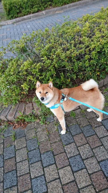 突然の雨