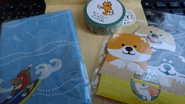 お友達から柴犬グッズ頂きました！【コスプレ劇場】