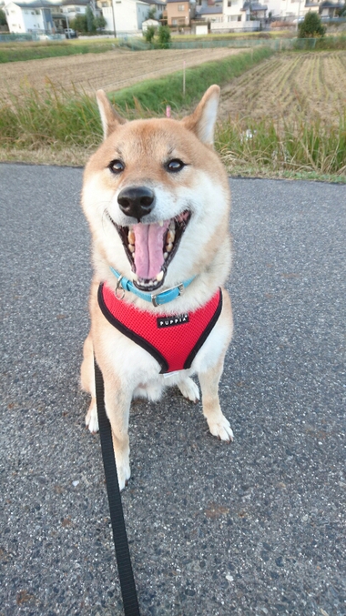 気にするんだ…