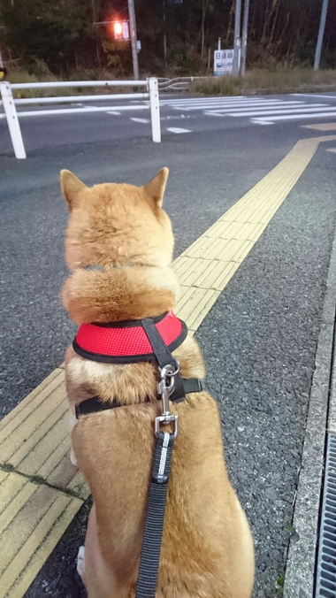 真ん丸なお月様