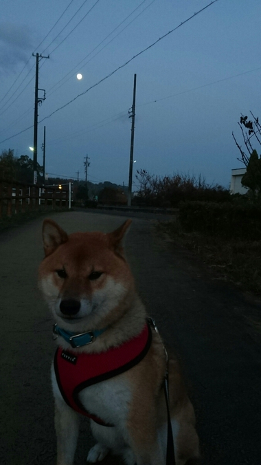 真ん丸なお月様
