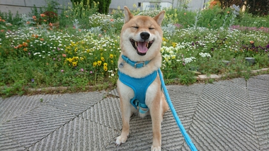 花いっぱい♪ニコニコいっぱい♪可愛さいっぱい♪