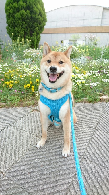 花いっぱい♪ニコニコいっぱい♪可愛さいっぱい♪
