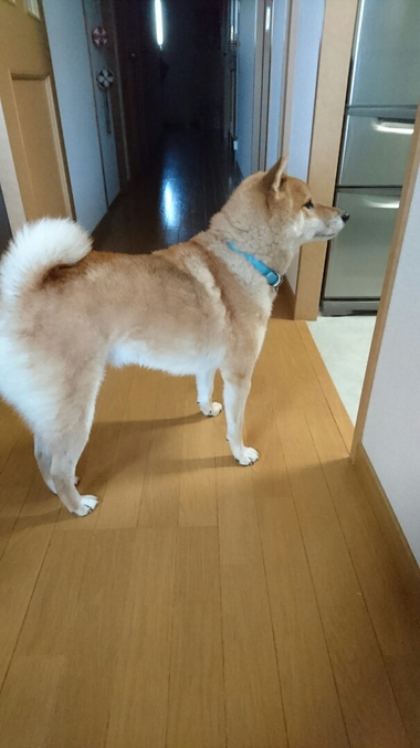 ごはんがおいしすぎる顔