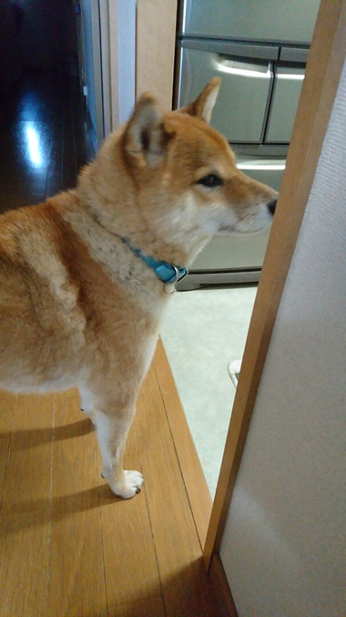ごはんがおいしすぎる顔