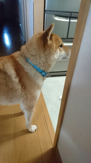 ごはんがおいしすぎる顔