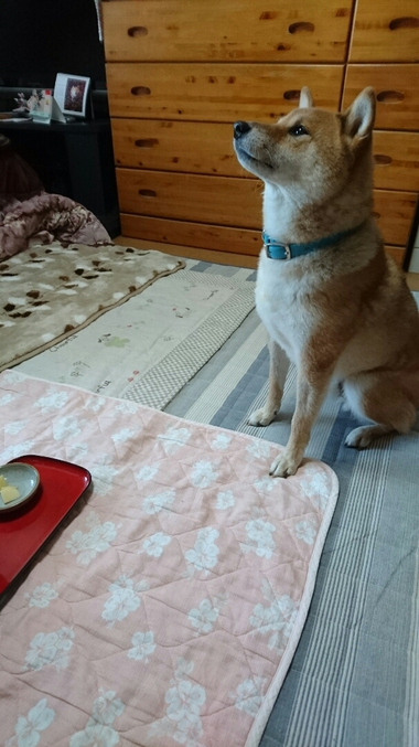 ごはんがおいしすぎる顔