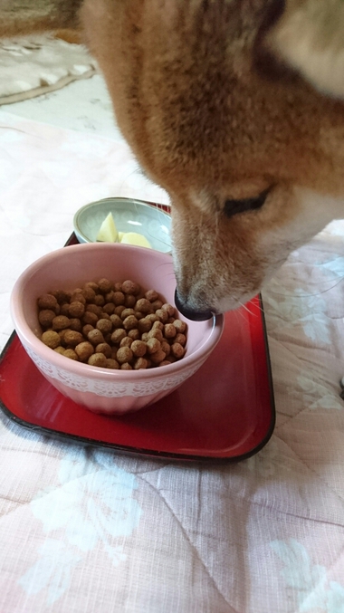 ごはんがおいしすぎる顔