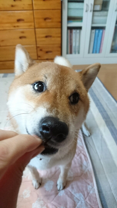 ごはんがおいしすぎる顔