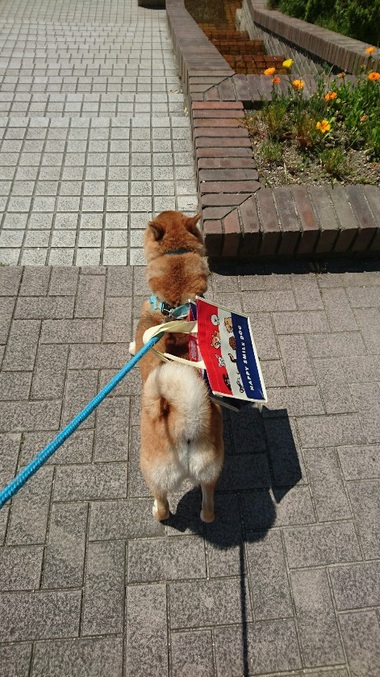 1粒3000円の高級ウマウマ