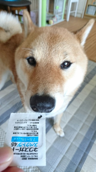 1粒3000円の高級ウマウマ