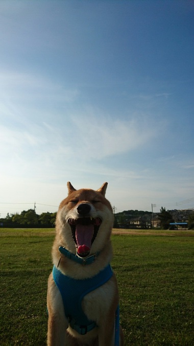 朝から感心＾＾