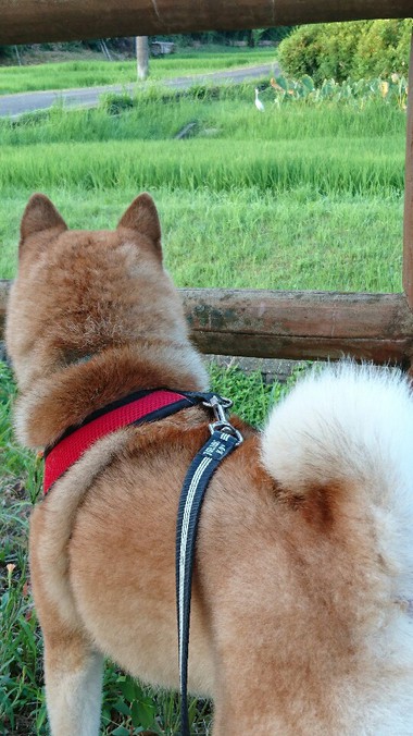 おかしいな…涼しくない！！
