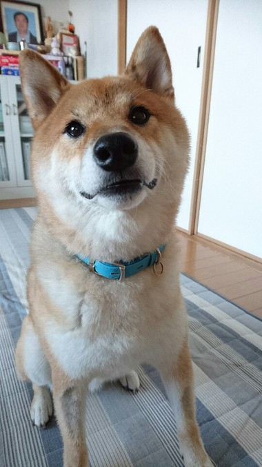 ちびっ子のみんなは元気に遊んでるかな？