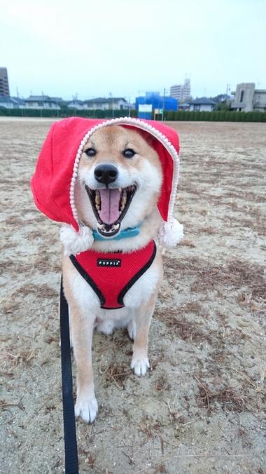 メリークリスマス！！