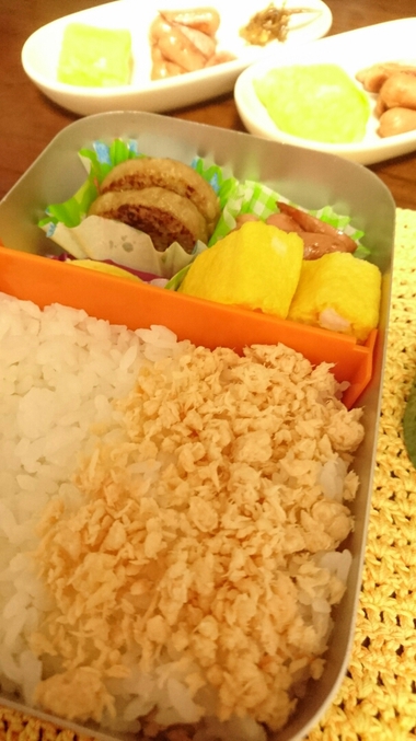 お弁当＆犬用ベッドｖｓ柴犬こうた　その２