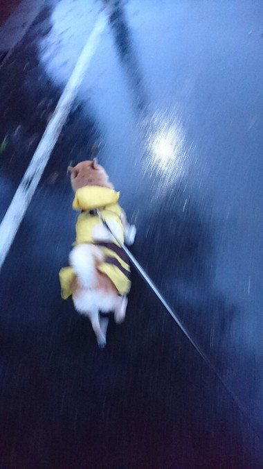 今日も雨だねぇ～そだねー