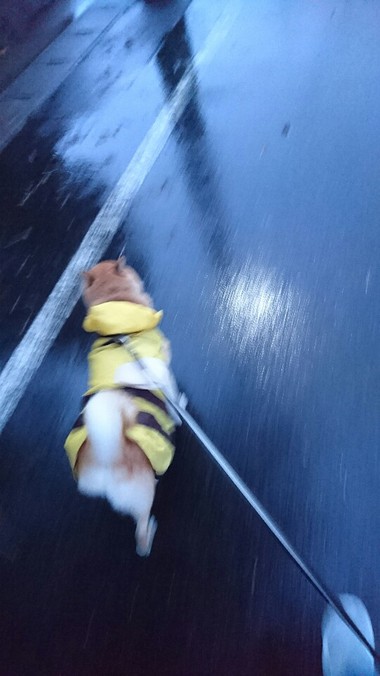 今日も雨だねぇ～そだねー
