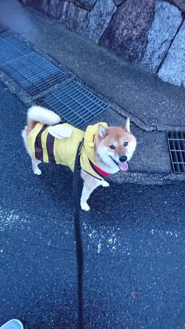 今日も雨だねぇ～そだねー