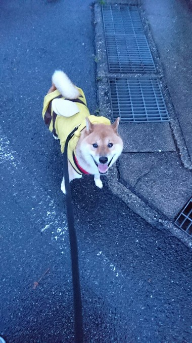 今日も雨だねぇ～そだねー