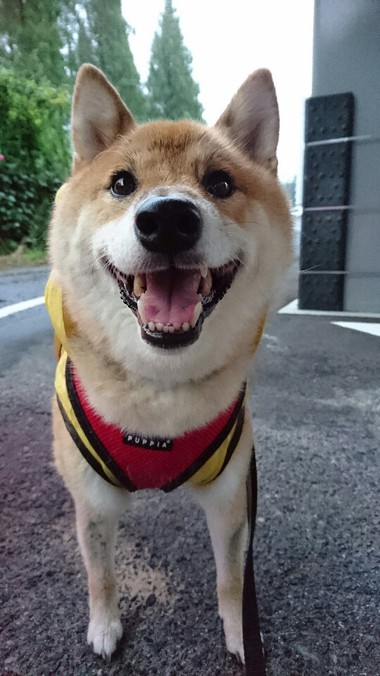 今日も雨だねぇ～そだねー