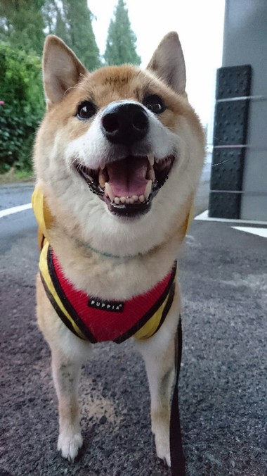 今日も雨だねぇ～そだねー