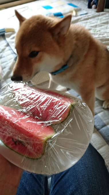 ひとりじめ