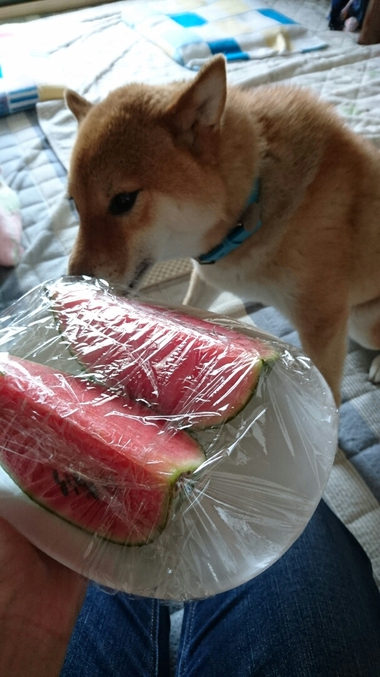 ひとりじめ
