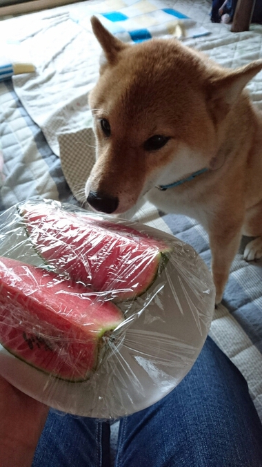 ひとりじめ