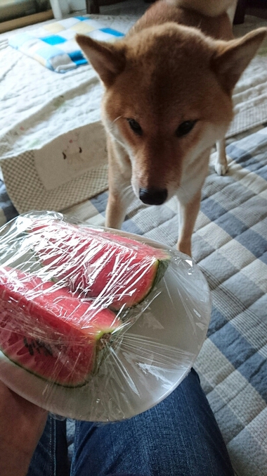 ひとりじめ