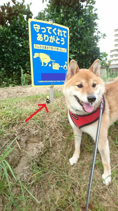 トランプ大統領いた！チュッ