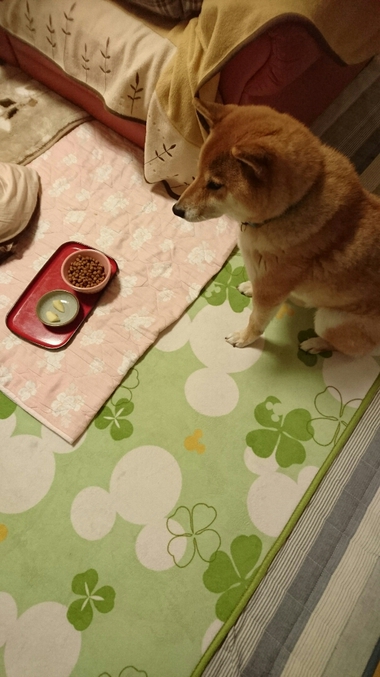 コーラ3本