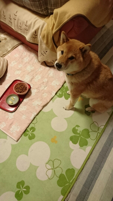 コーラ3本