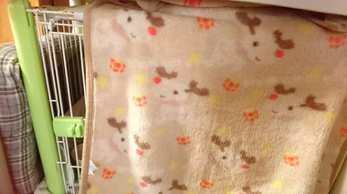 気にするんだ…
