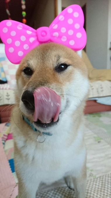 おやつあ～んっ！