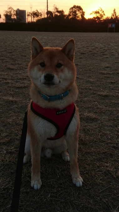気にするんだ…