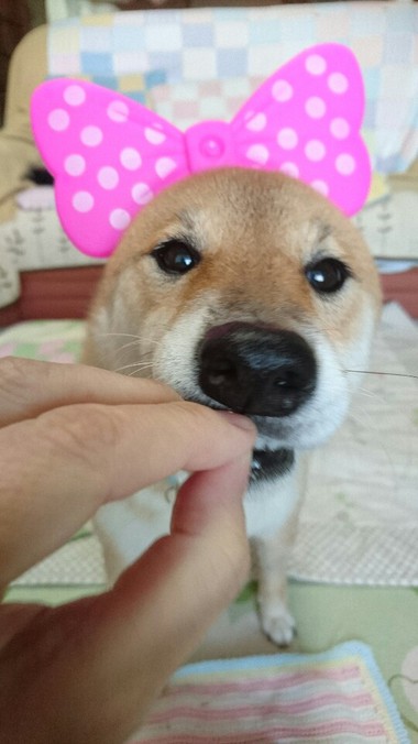 おやつあ～んっ！