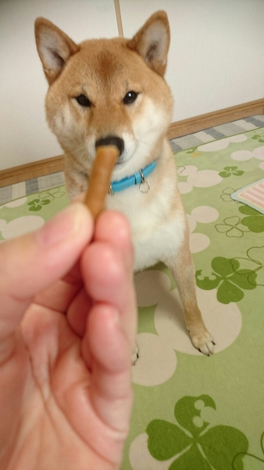 美味しいものはこんなお口で食べたい‥‥と思う＾＾