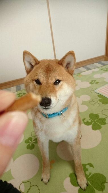 美味しいものはこんなお口で食べたい‥‥と思う＾＾
