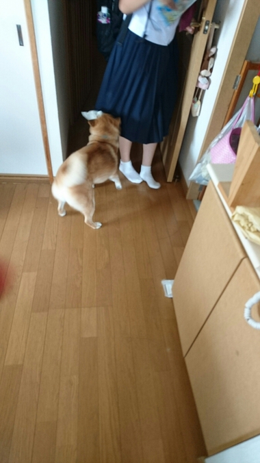 お掃除のお手伝い♪