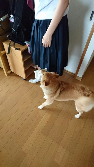 お掃除のお手伝い♪