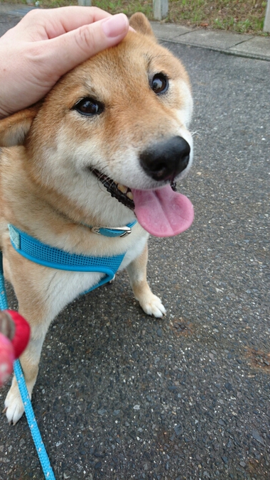 甘えてみた