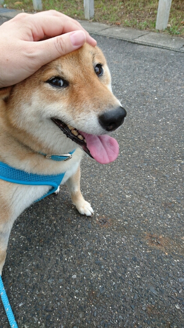 甘えてみた