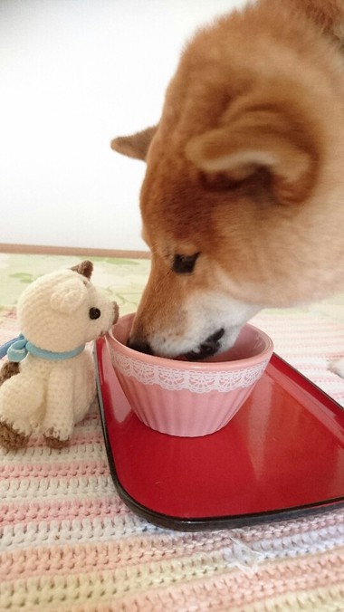 卒業式ですね