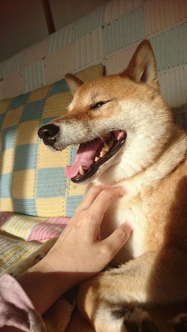 ちこうよれ と言われたので寄ってみた