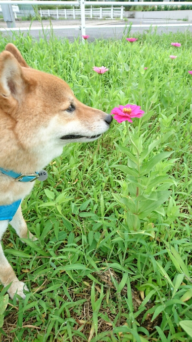 涙が出ちゃった