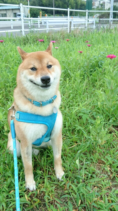 涙が出ちゃった